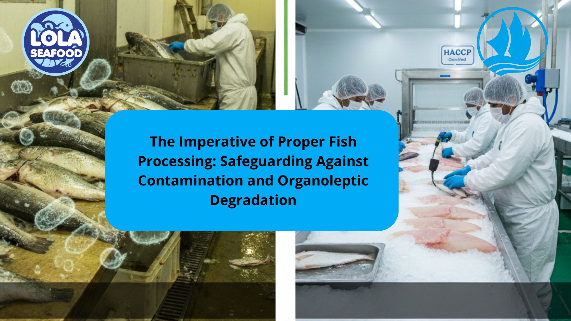 The Imperative of Proper Fish Processing: Safeguarding Against Contamination and Organoleptic Degradation